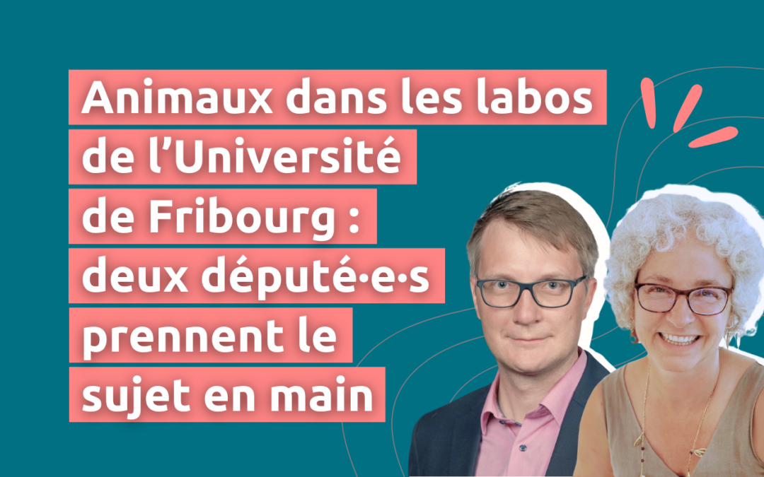 Animaux dans les laboratoires de l’Université de Fribourg : deux élu·e·s prennent le sujet en main